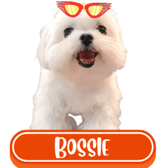 WOOFME WITH BOSSIE