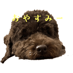Yuka_20230118000546
