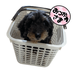 NATSUMI_20230117230707