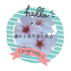 Michiko_20230118124134