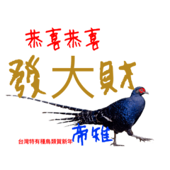 台灣特有種鳥類（一）賀新年篇