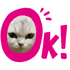 shiho_20230118025347