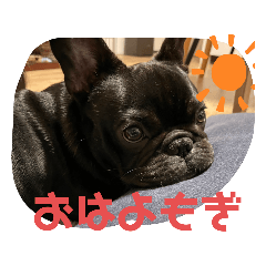 hoyaa_20230118112152