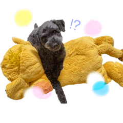 Mizuki_20230119003733