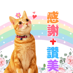 漿漿生活日