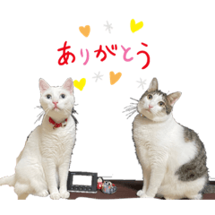 hikari_20230119002150