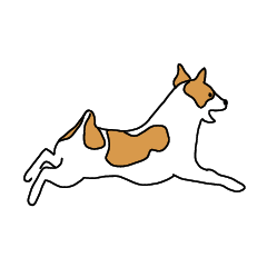 Jack Russell Terrier  ocaca