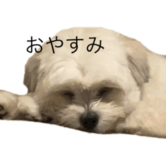 Dan_20230118220720