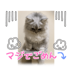 yuka_20230118220058