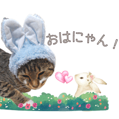 チビちゃんの猫スタンプVer.1
