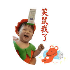 三寶過兔年