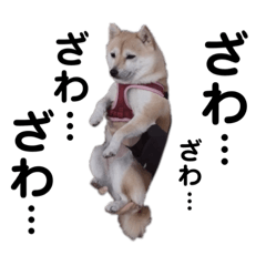 maipan_20230118230733