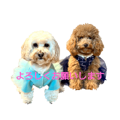 tommy_20230119104213