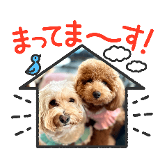 tommy_20230119105240