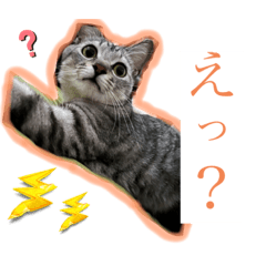 MioTen_20230119005231
