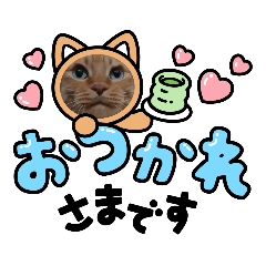 kana_20230119090948