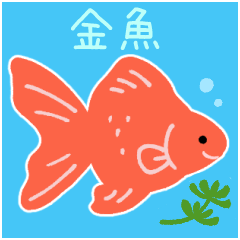 kingyo fish