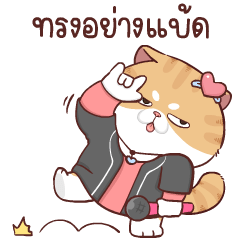 Sumo Cat 6 (thai)