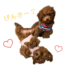 YUKA_20230119160820