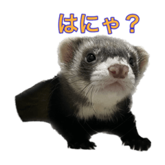 suzu_20230120091513
