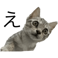 Tom0908