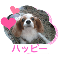 maichi_20230119