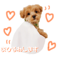 hana_20230120084124