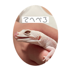 alice_20230119182440