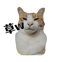 Saori_20230119205008