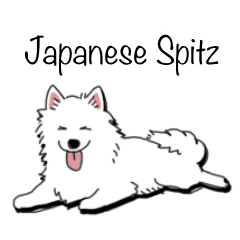 Japanese Spitz stickers