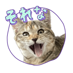 yaMazaki_20230119235822