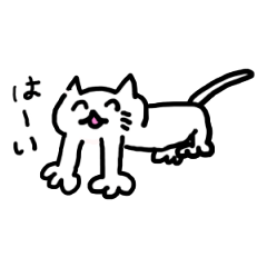 White cat Toyo-chan