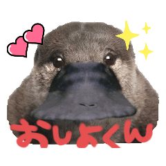 natsumi_20230119201611