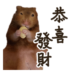 新年的順一日常