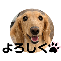 Momoko_20230120122256