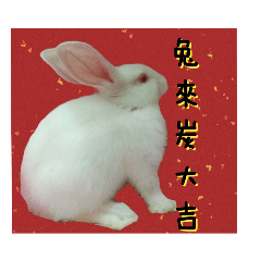 Love Tangyuan Rabbit