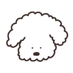 Toy poodle's daily life4