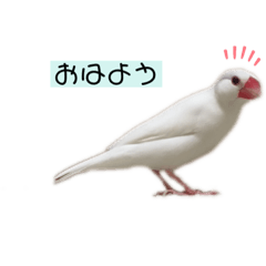 omochi_20230120161429