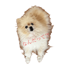 hana_20230121075220