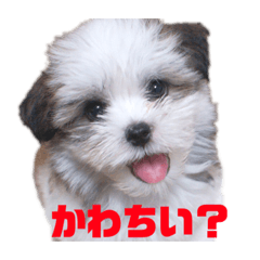 ayano_20230120165434