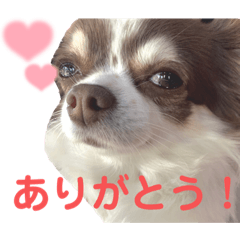 Hikari_20230120202844