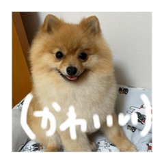mocomoco_20230120184210