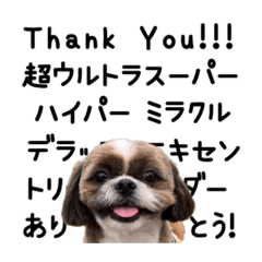 T Aikw_20230119183924