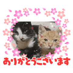 megumi_20230120205850