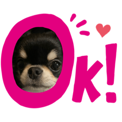 nao_20230121090022