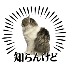 cream_20230120221617