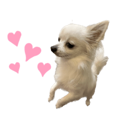 YOSHI-HAPPY_20230121103054