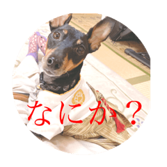nao_20230121004824