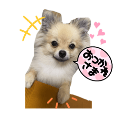 hana_20230121022458