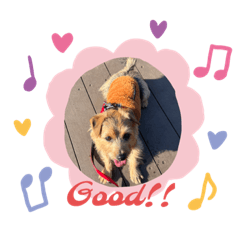 HIKARI_20230121094852